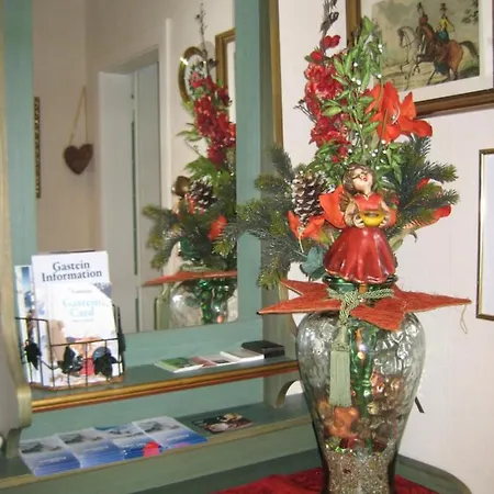 Appartement Privat Bad Hofgastein